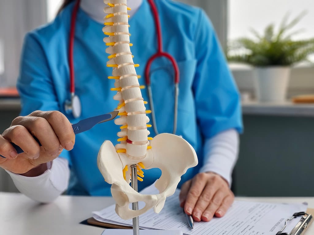 Doctor pointing to spine model indicating the area affected by radiculopathy.