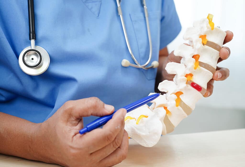 A medical professional referring to a spinal nerve and bone model