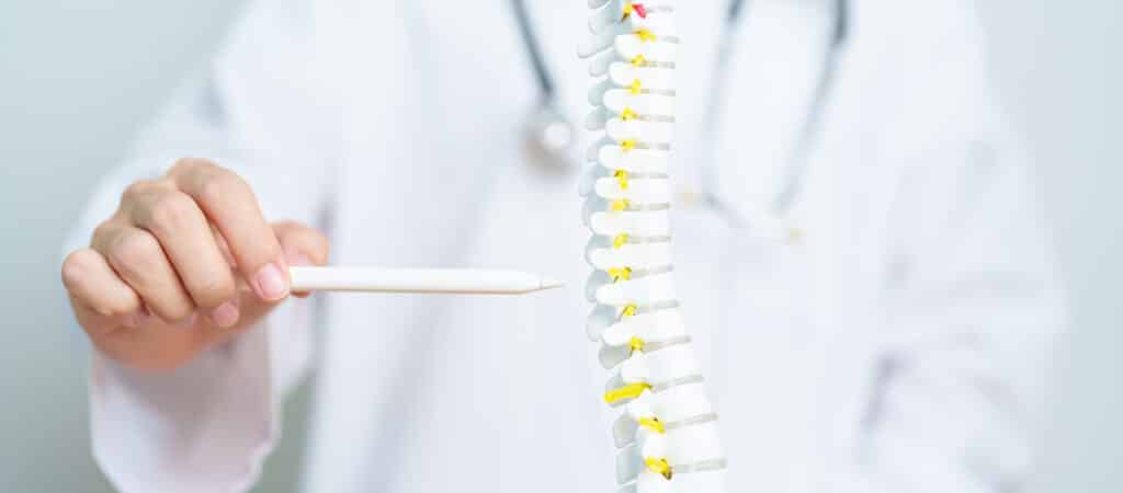 Specialist pointing to a cervical spine model.
