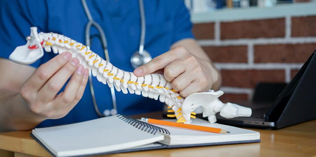 A doctor pointing to an anatomical diagram of a spine