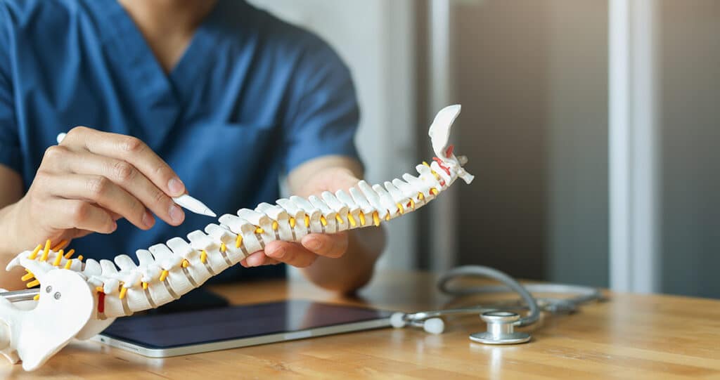 Doctor holding model of a spine