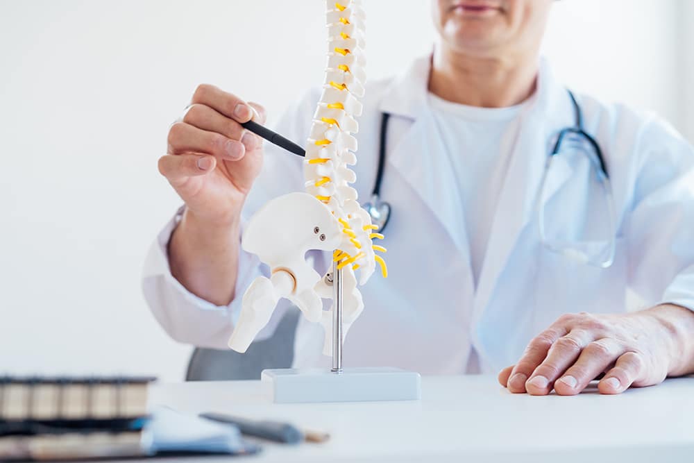 Spine specialist with a lumbar spine anatomy model during a patient consultation.
