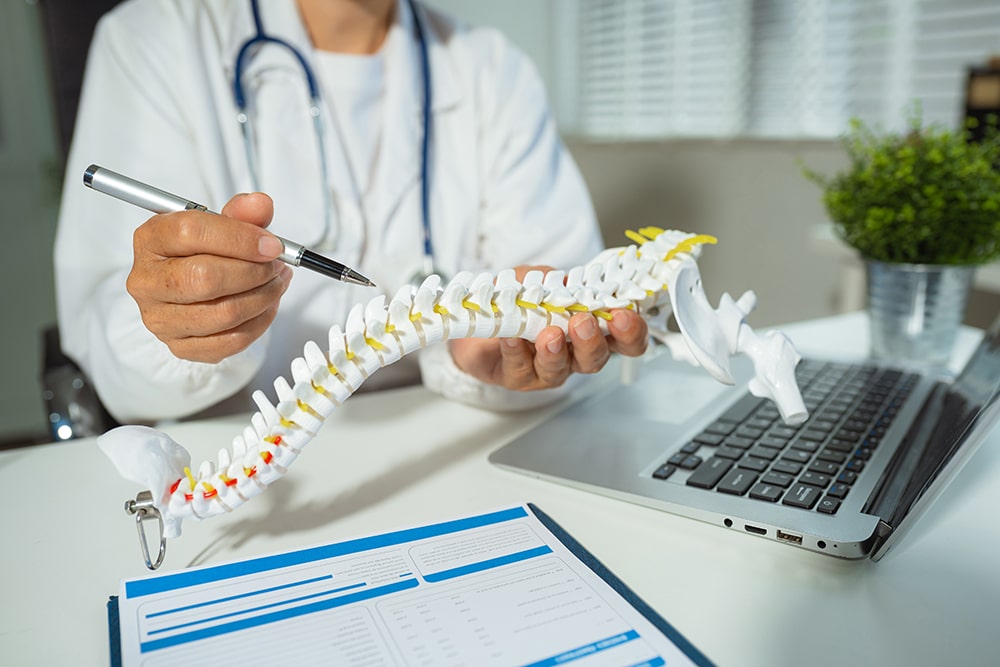 Spine surgery specialist explaining a spinal condition using a human spine anatomy model.